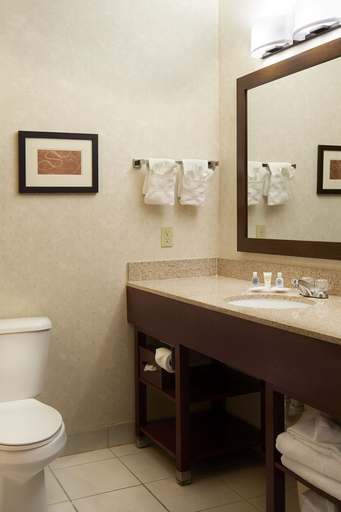 Bathroom 4, Comfort Suites Lake Geneva East, Walworth