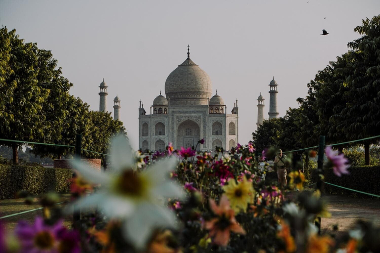 Exterior & Views 2, Moustache Agra, Agra
