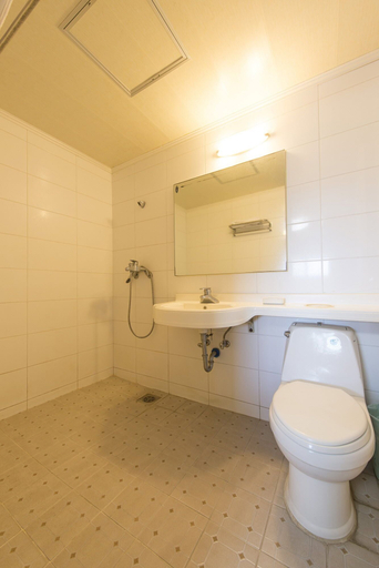 Bathroom 3, The Witt DOGO, Asan