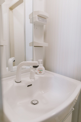 Bathroom 3, Ohma 2211, Osaka