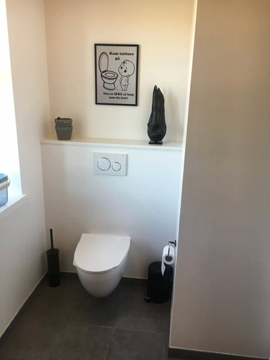 Bathroom 4, Agerfeld Gl Skole, Herning