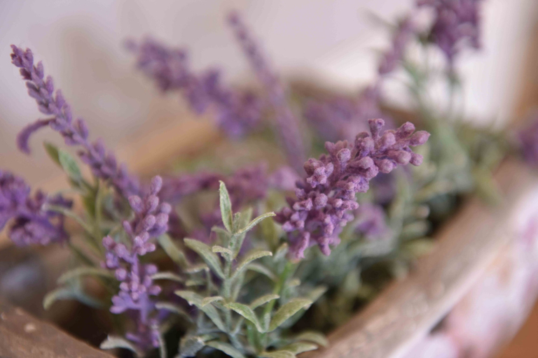 Food & Drinks, Luxury Cottage Near Windsor Castle, Slough