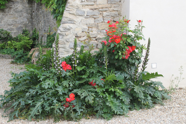 Exterior & Views 2, Chambres d'Hotes La Rose, Gard