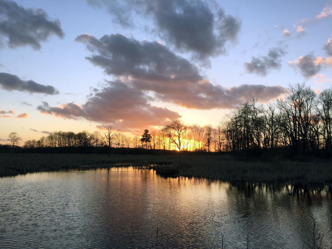 Others 4, Pfarrhof Stuer, Mecklenburgische Seenplatte
