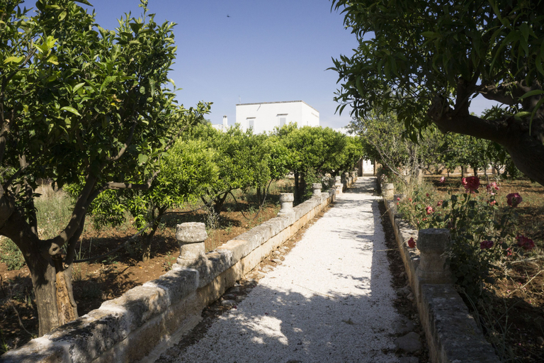 Others 5, Masseria Capece, Brindisi
