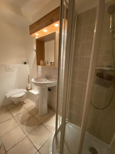Bathroom 3, Auberge de la Foret, Isère