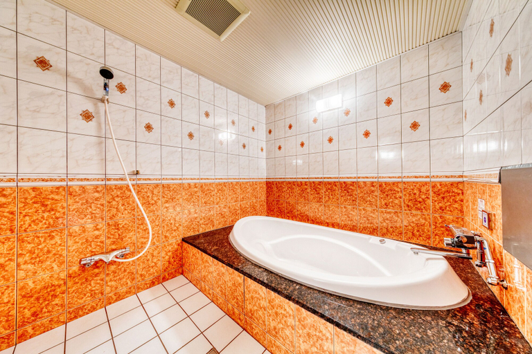 Bathroom 4, Hotel Luna Otsu, Lake Biwa