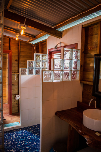 Others 5, The Sea Monkey, Bocas del Toro