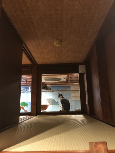 Bedroom 5, neco yokujo & neco hatago Neco Requblic - Hostel, Osaka