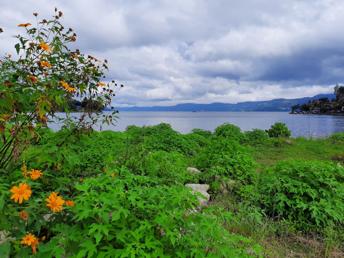 Exterior & Views 4, Juma Cottages, Samosir