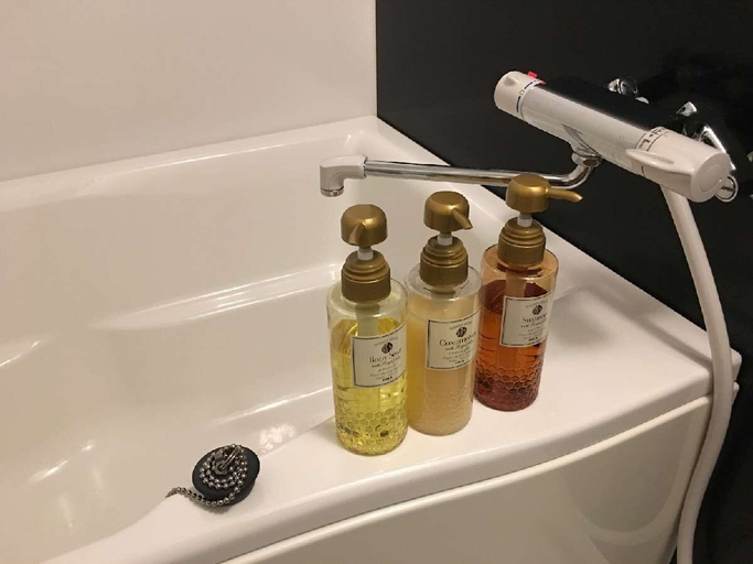 Bathroom 3, Dogo-no-Oyado Iwasaki, Matsuyama