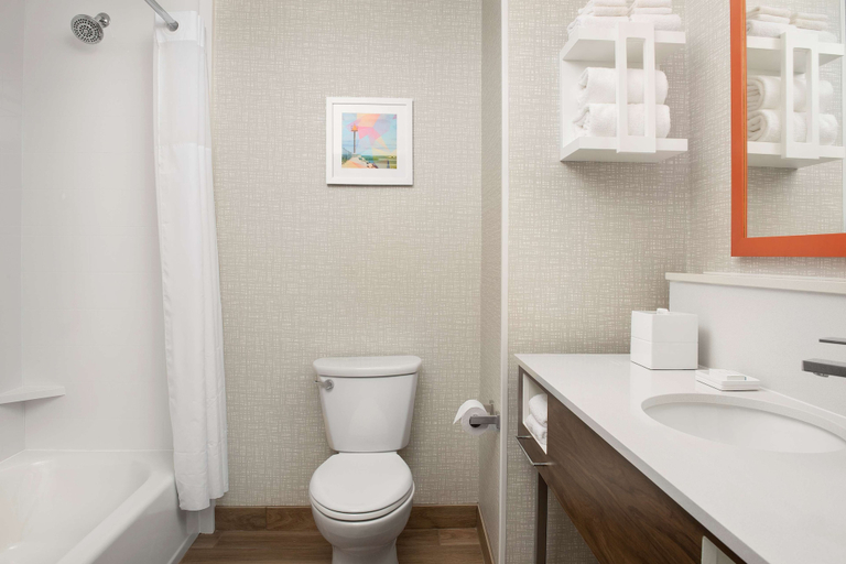 Bathroom 4, Hampton Inn Warroad, MN, Roseau