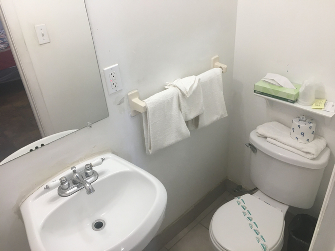 Bathroom 4, Richard's Pet Friendly Motel, Broward