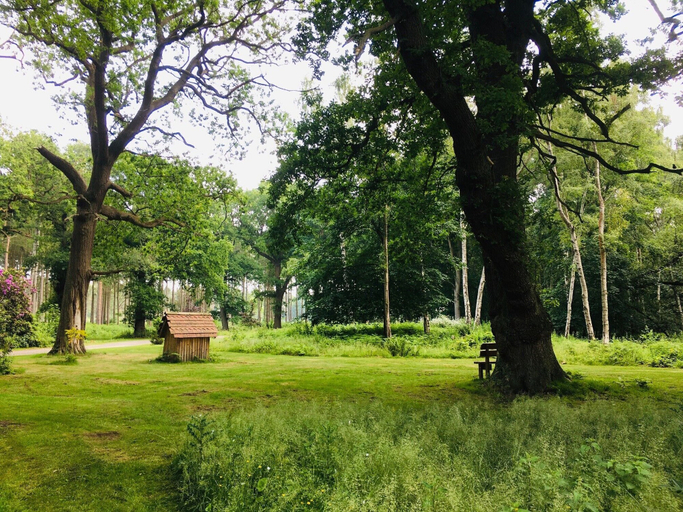 Others 5, Hollicarrs - Newlands, York