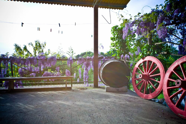 Others 5, Agriturismo Cognanello, Siena