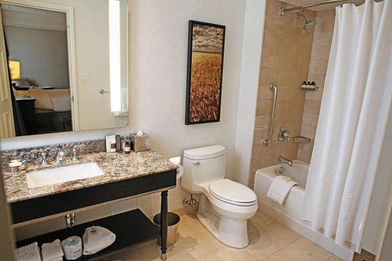 Bathroom, The Fairmont Palliser Gold Experience, Division No. 6
