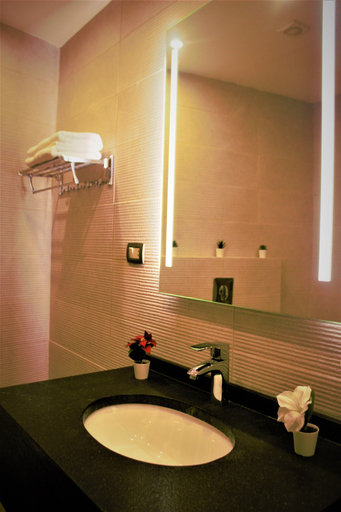 Bathroom 4, New MerryLand Hotel, Wadi Essier