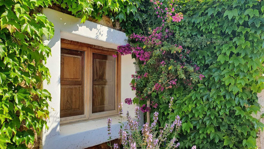 Exterior & Views 2, Agroturismo Can Marquet, Baleares