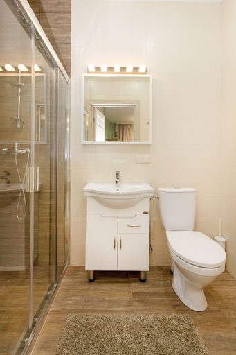 Bathroom 4, Raugyklos apartments, Vilniaus