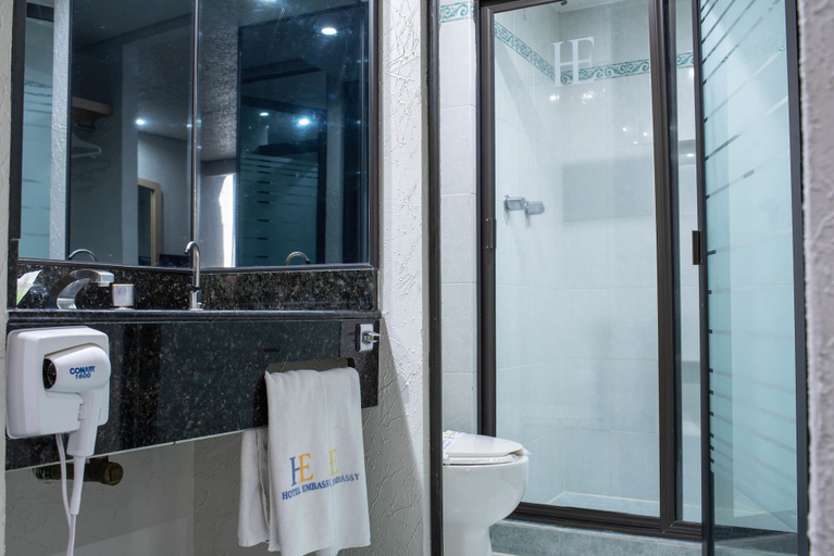 Bathroom 4, Hotel Embassy, Mexico City