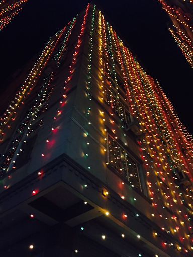 Exterior & Views, Hotel swastik, Bagmati