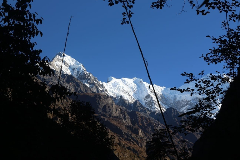Others 5, Shree yoga retreat, Bagmati