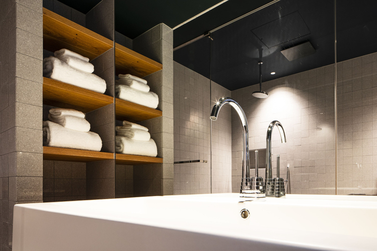 Bathroom 4, Shiroiya Hotel, Maebashi