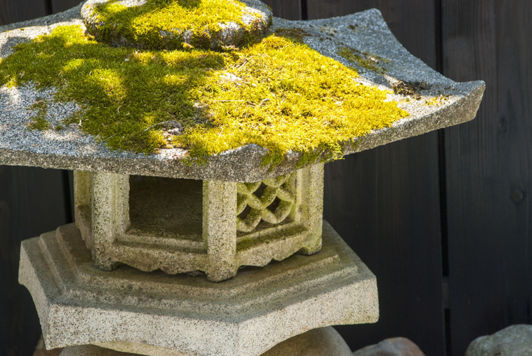 Others 5, Kyo no yume, Kyoto