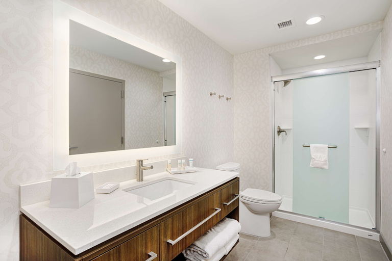 Bathroom 4, Home2 Suites by Hilton Johnson City, TN, Washington