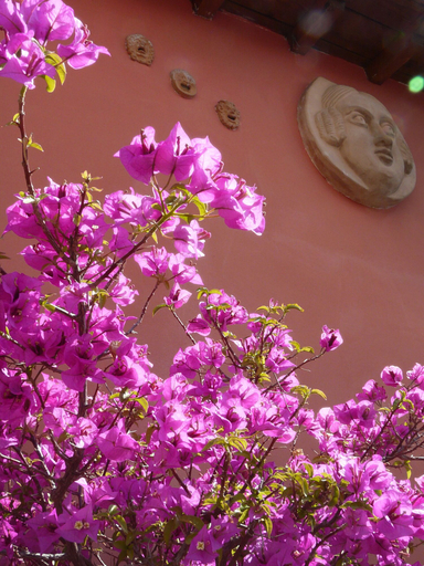 Exterior & Views 2, B & B Li Rioni, Roma