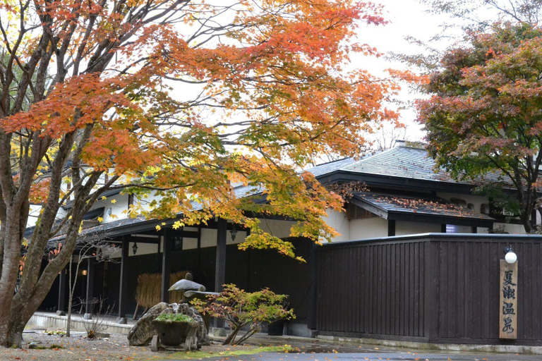 Exterior & Views 2, Natsuse Onsen Miyakowasure, Semboku