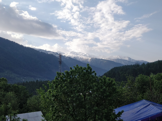 Madpackers Manali - Hostel, Kullu