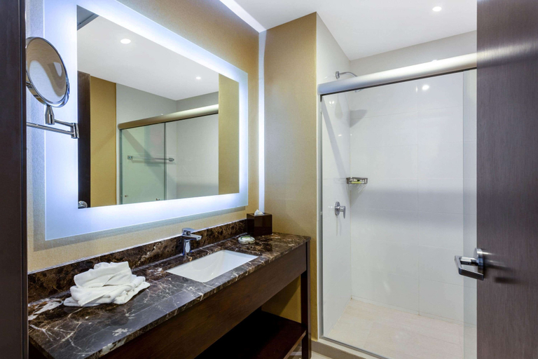 Bathroom 4, Wyndham Torreon, Torreón