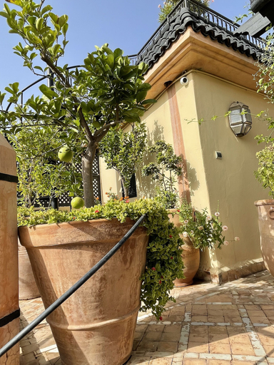 Exterior & Views 2, Riad Zouhour, Marrakech