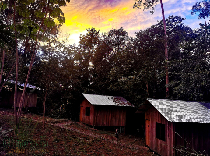 Exterior & Views 2, Citronela Lodge Corcovado, Osa