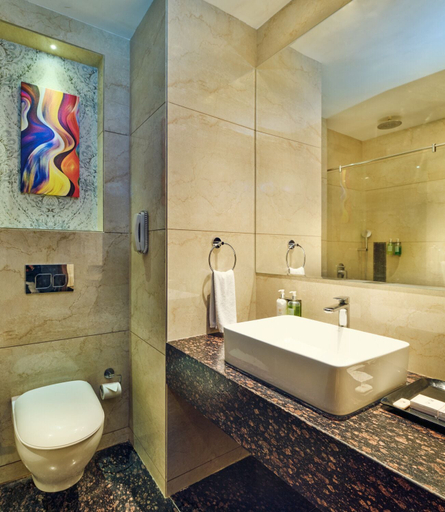 Bathroom 4, Enrise by Sayaji Rewa, Rewa