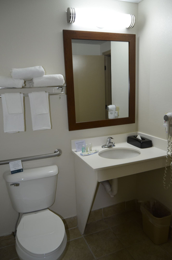 Bathroom 4, Quality Inn Ocoee - Cleveland East, Polk