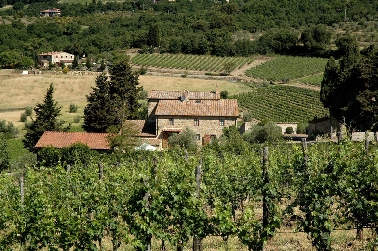 Exterior & Views 2, Agriturismo La Ferrozzola, Siena