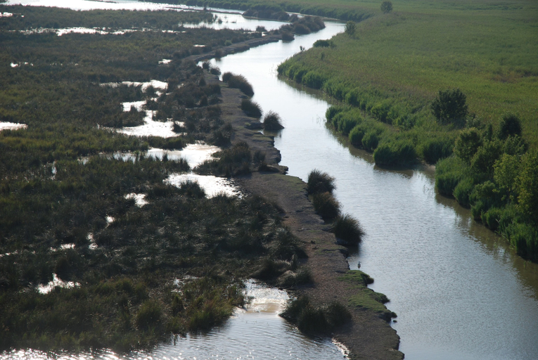 Others 5, Le Mazet De Jean en Camargue, Gard