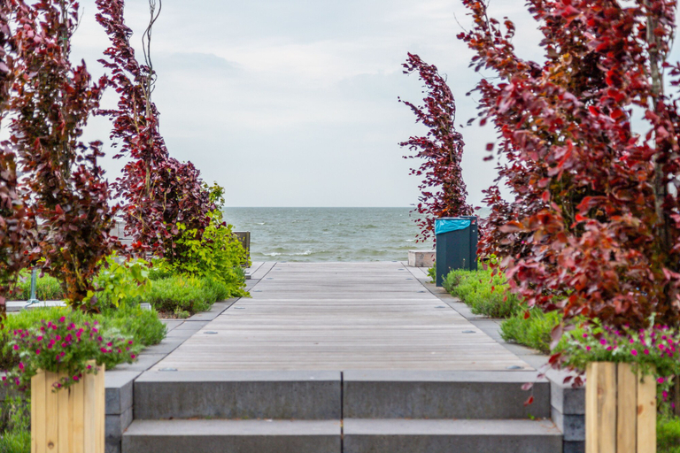 Others 5, Europarcs Markermeer, Stede Broec