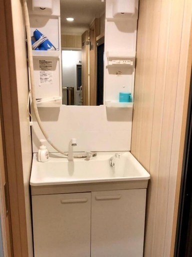 Bathroom 3, karinoyado, Osaka