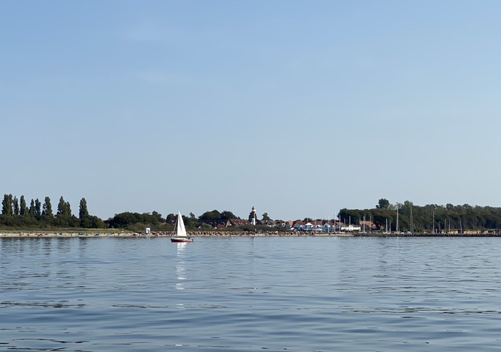 Others 5, Ostseemuschel, Nordwestmecklenburg