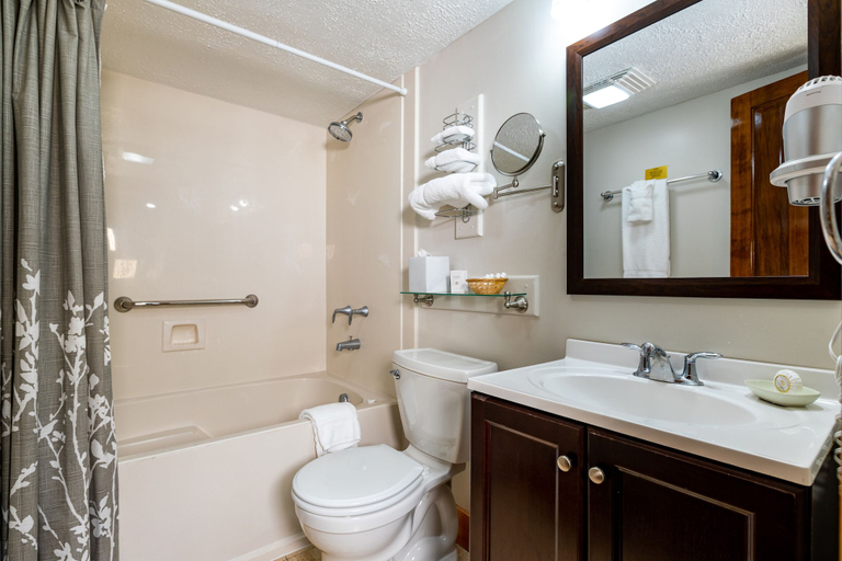 Bathroom 4, Hotel de la Monnaie, French Quarter, Orleans