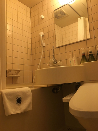 Bathroom 5, Nagoyaeki Accesshotel, Nagoya
