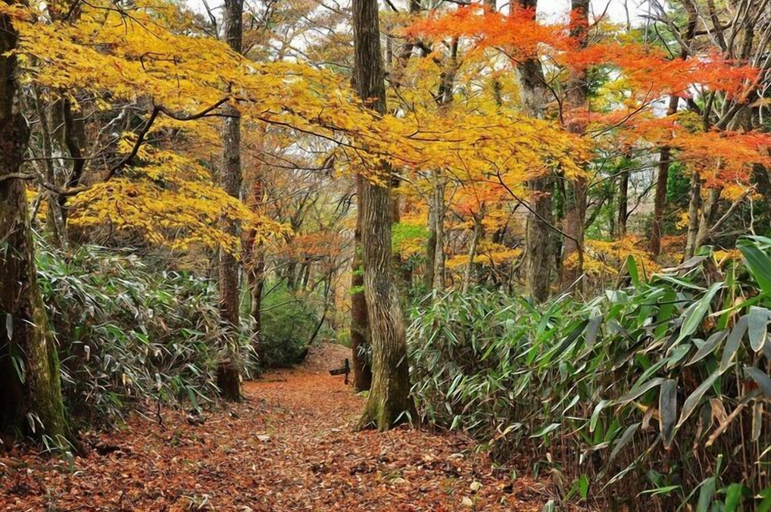 Exterior & Views 5, Hakone Guesthouse toi - Hostel, Hakone