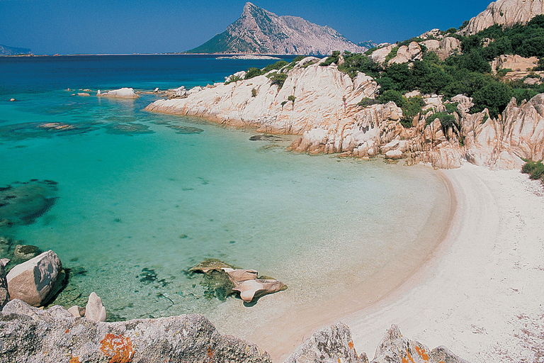 Others 5, Villa Fiorita, Nuoro