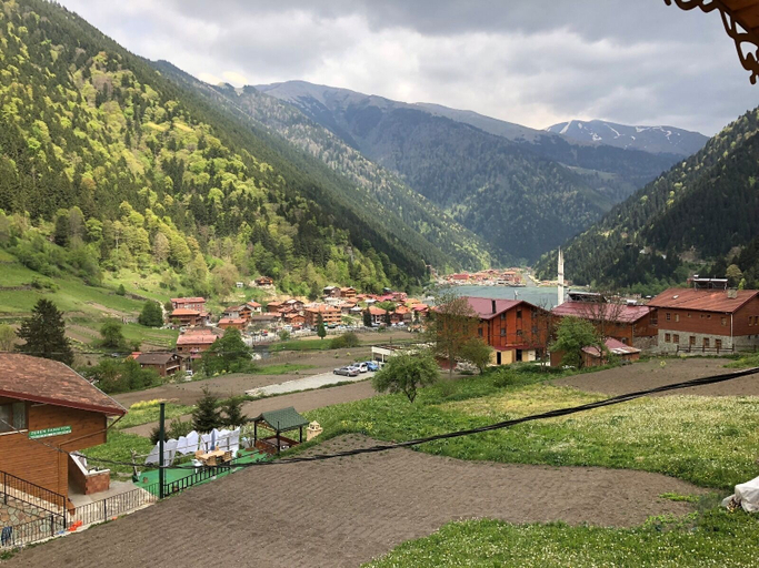 Primary image