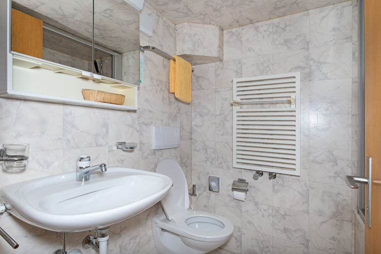 Bathroom 5, Hotel Alpina, Visp