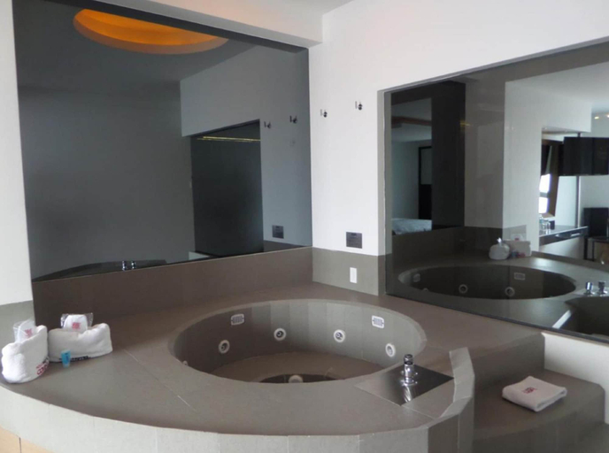 Bathroom 4, Novo Coapa, Mexico City