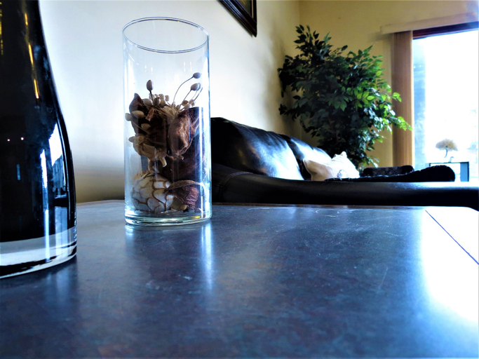 Food & Drinks 5, RANCHLAND Inn, Division No. 3